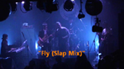 Fly (Slap Mix)